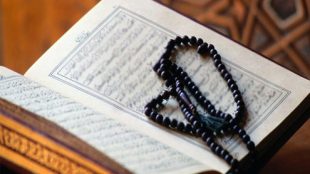TasvirShakhes-QuranQuest-14