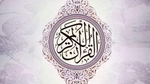 TasvirShakhes-QuranQuest-19