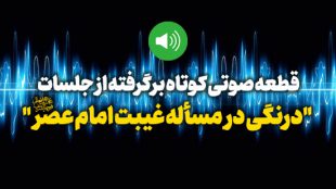 TasvirShakhes-SC-14030804-Hkashani_Com